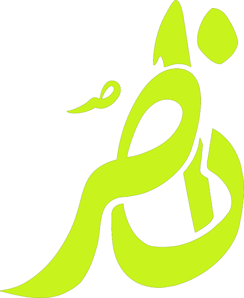 Nasir Khan Logo